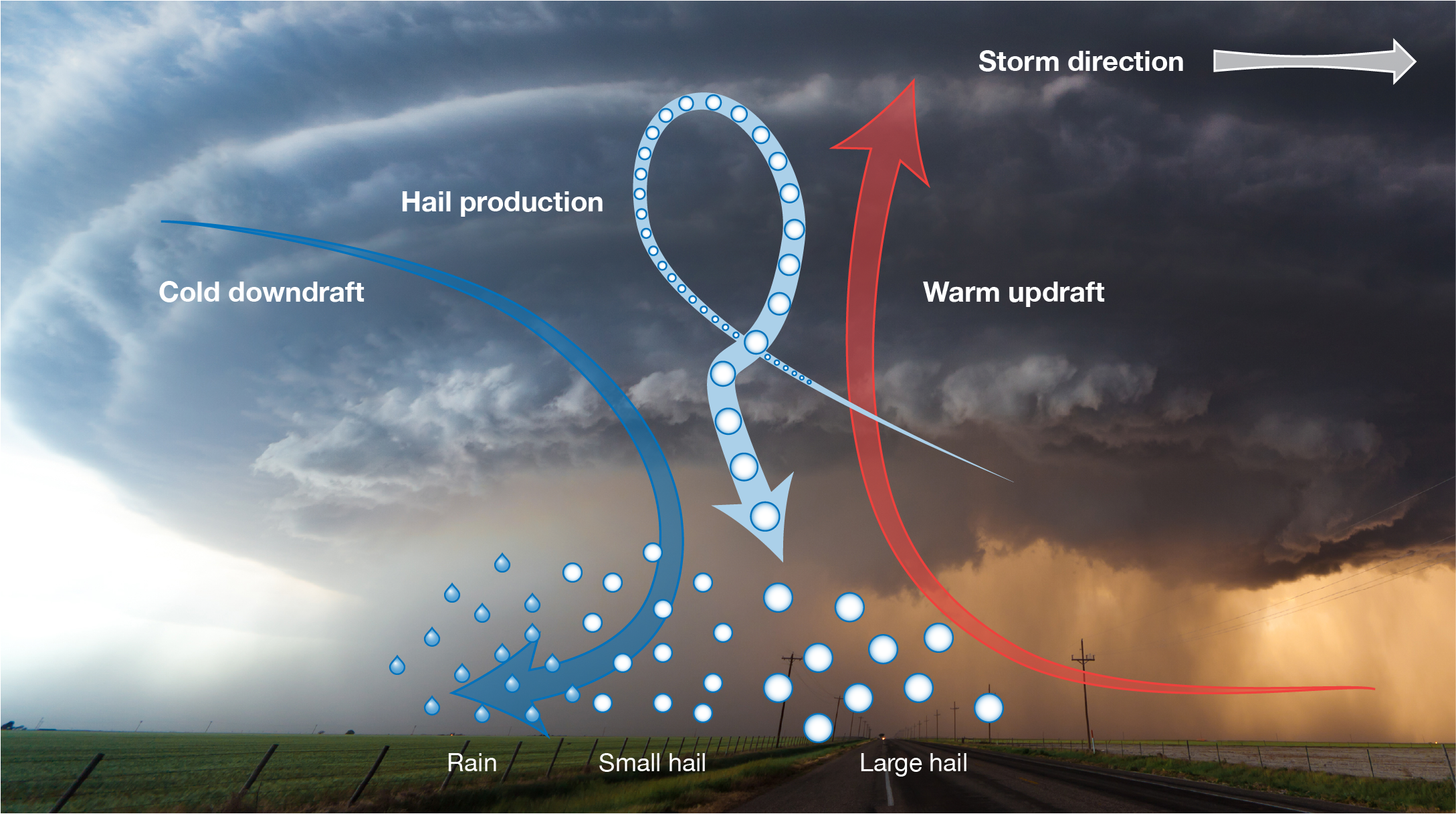 Storm dynamics